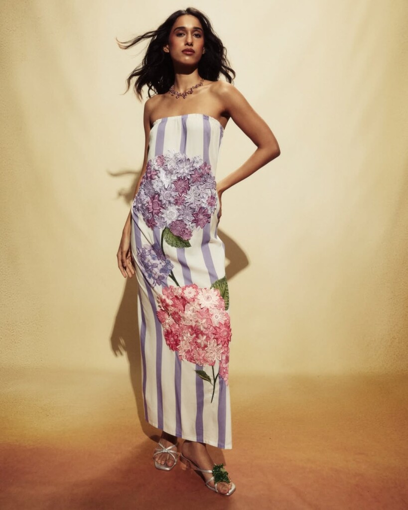 Model Image